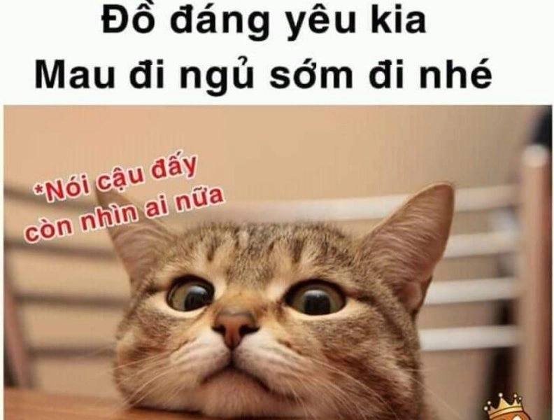 Buồn ngủ meme siêu hài, biểu cảm khó đỡ.