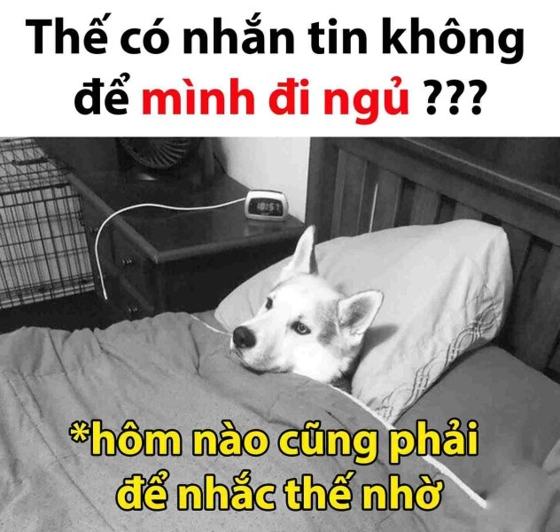 Chúc bé ngủ ngon meme đáng yêu vô đối.