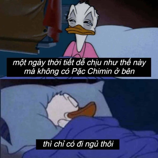 Mất ngủ meme độc lạ và hài hước.