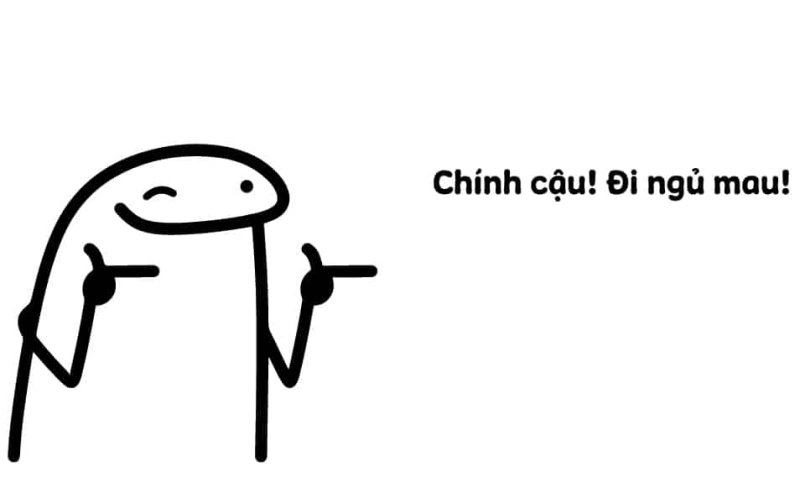 Mèo ngủ meme biểu cảm cực kỳ đáng yêu.