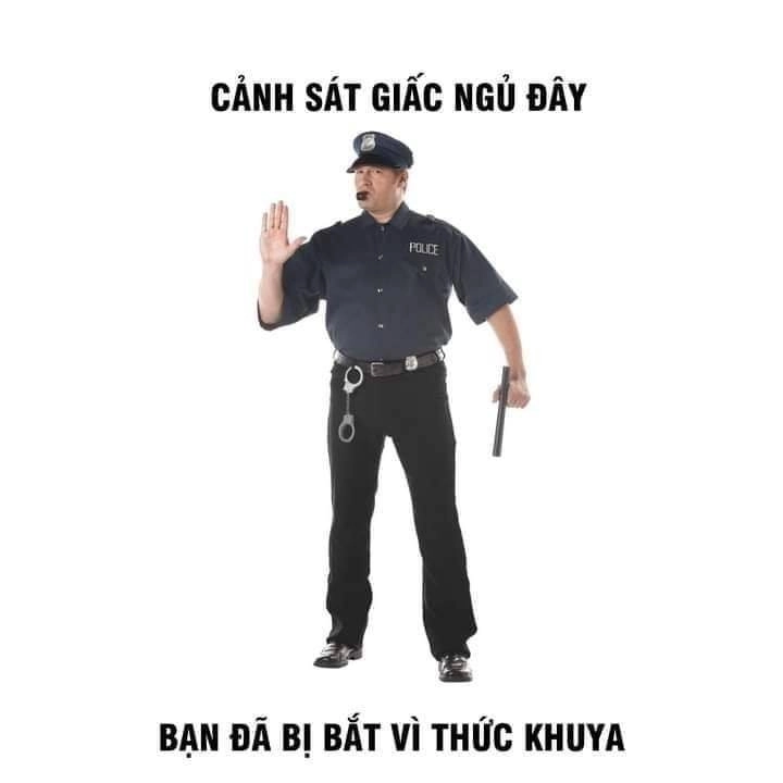 Meme chúc ngủ ngon hài siêu lầy và vui nhộn.