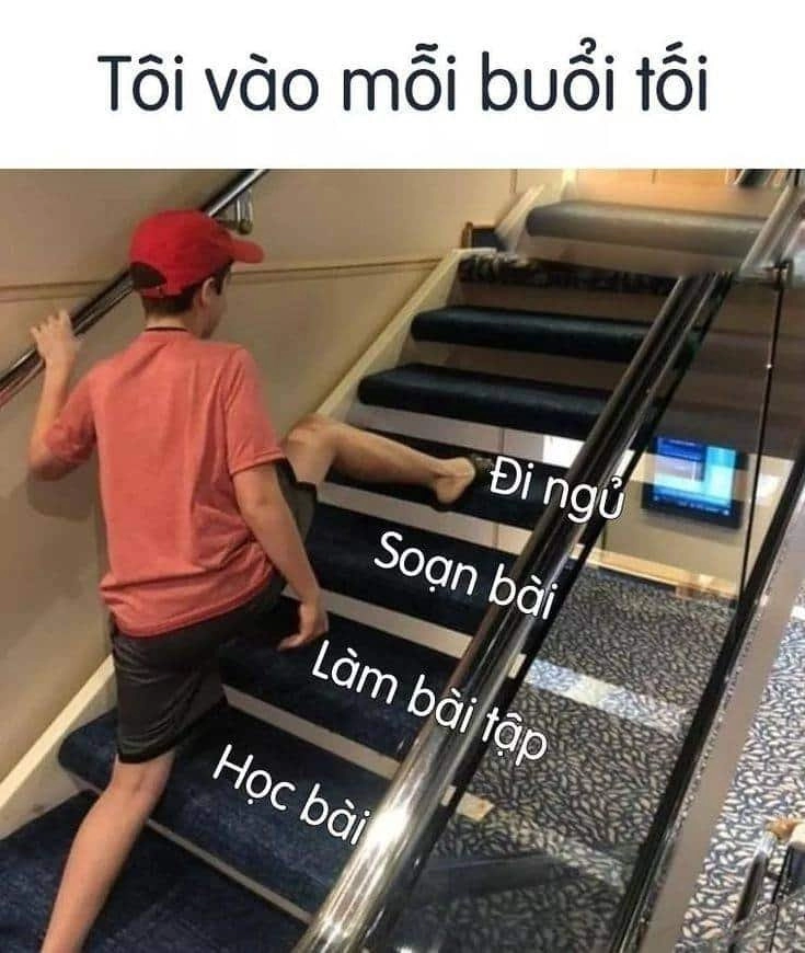 Meme thiếu ngủ siêu hài và ngộ nghĩnh.