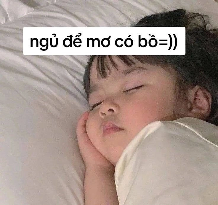 Ảnh meme ngủ cực đáng yêu, khó quên.