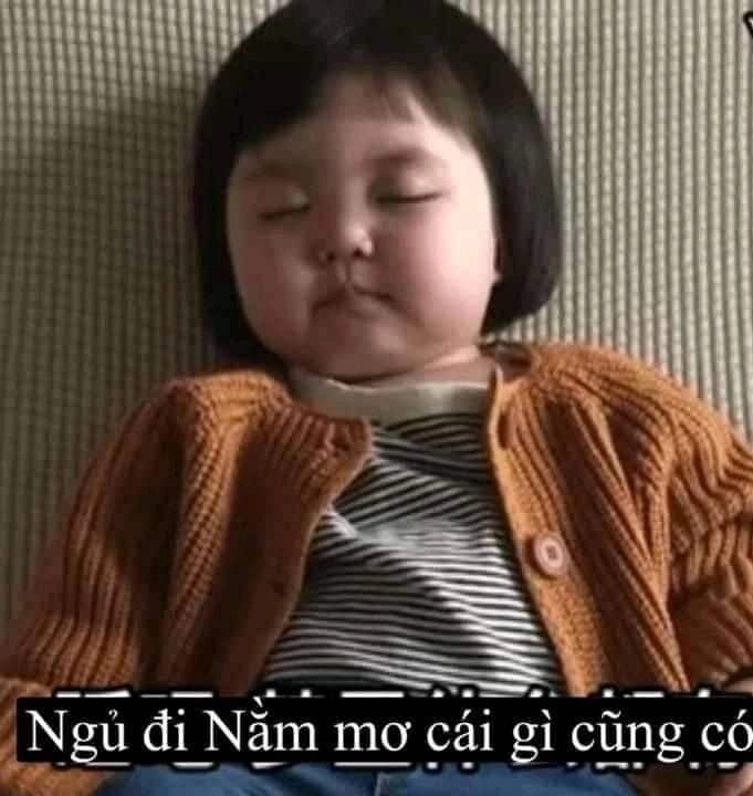 Meme chúc ngủ ngon dễ thương làm tan chảy trái tim bạn.