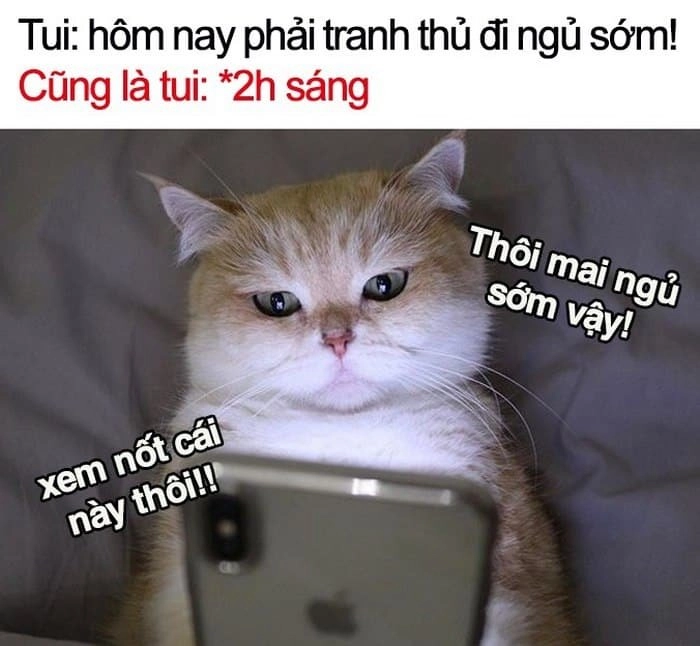 Meme tắt máy đi ngủ cực lầy và hài hước.