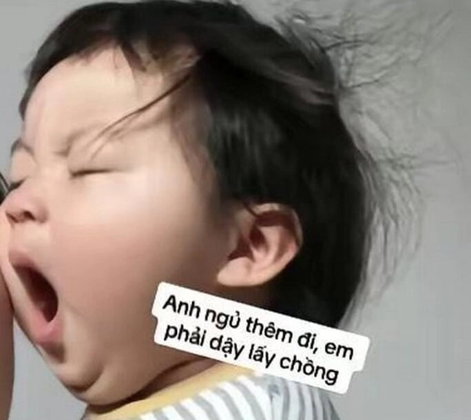 Meme mèo ngủ ngon dễ thương và ngộ nghĩnh.