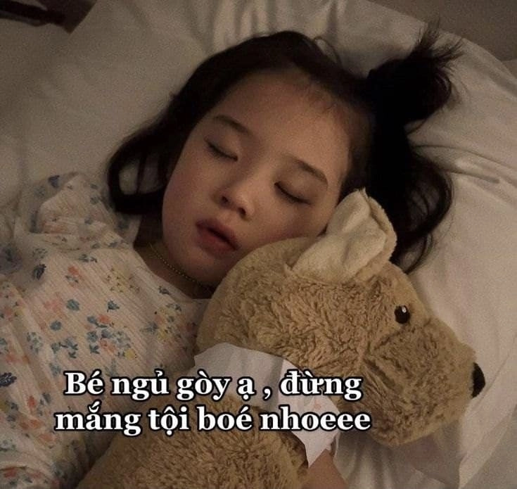 Meme ngủ ngon hài giúp bạn giải trí cực tốt.