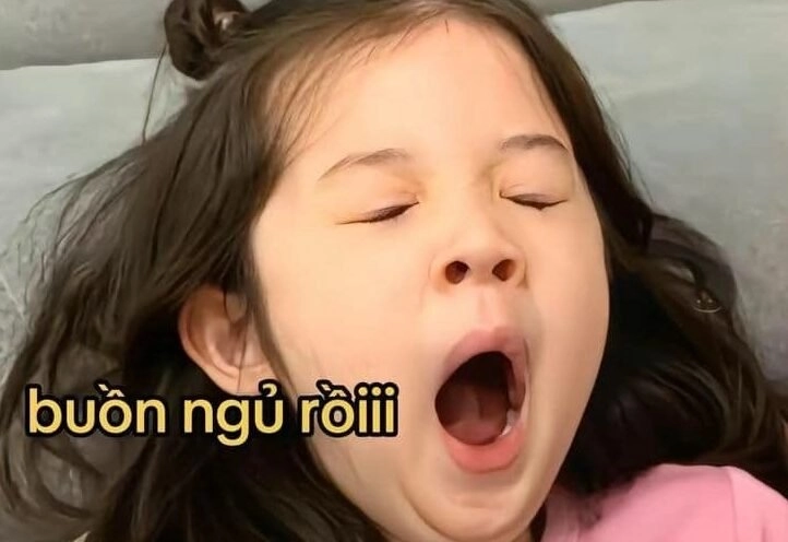 Ảnh chúc ngủ ngon meme thú vị và hài hước.