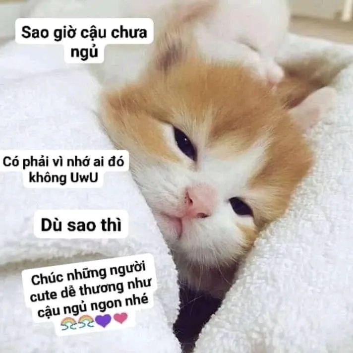 Thiếu ngủ meme hài hước và độc đáo.