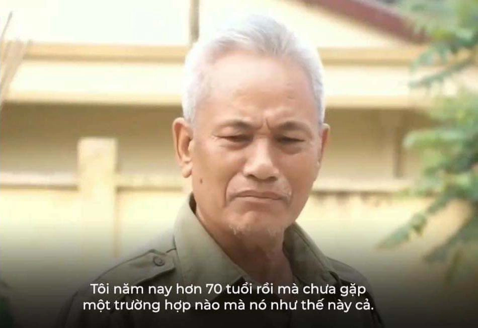 Meme mèo hết cứu mang đến tiếng cười ngộ nghĩnh.