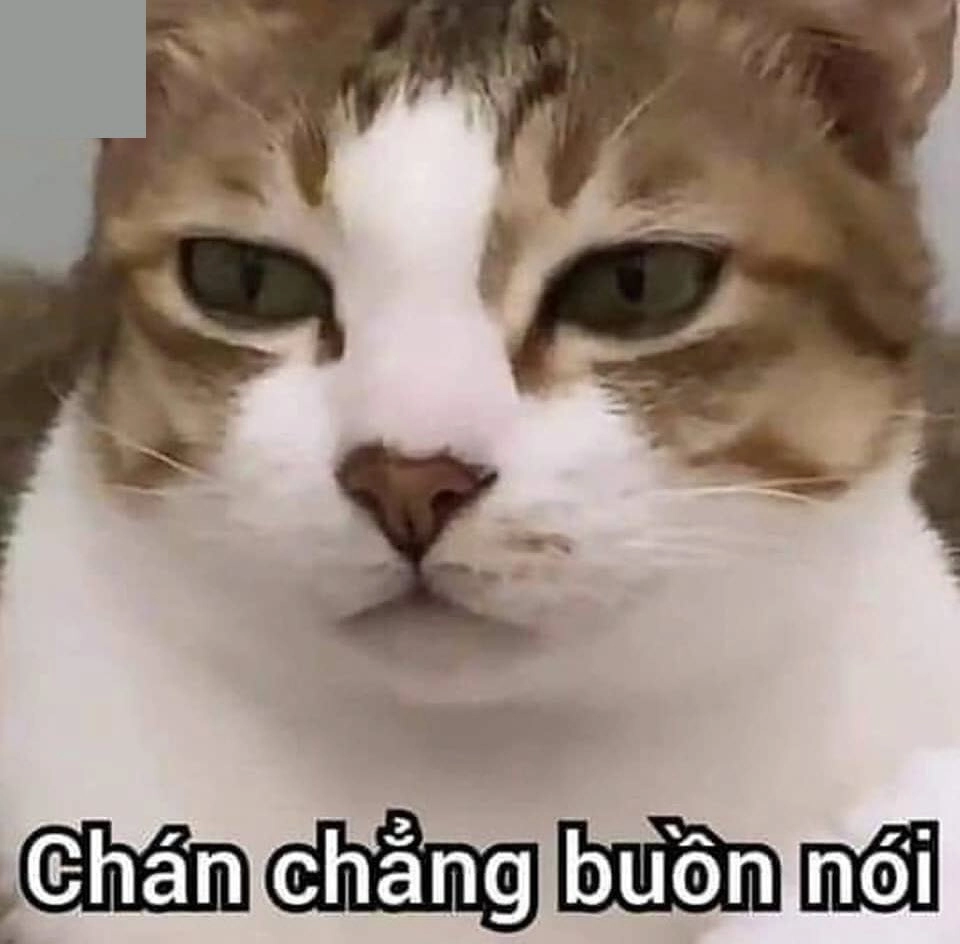 Meme bộ xương hết cứu hài hước với nét độc đáo.