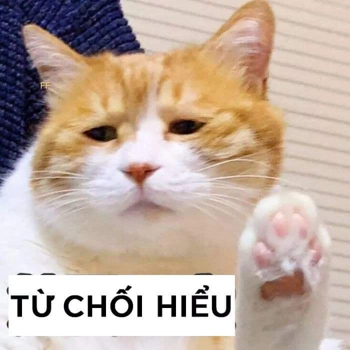 Meme khỏi cứu thể hiện sự sáng tạo độc đáo.