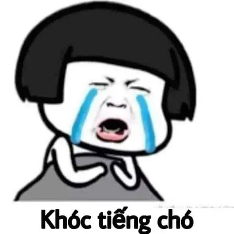 Khóc meme mèo buồn, hình ảnh siêu cảm xúc.