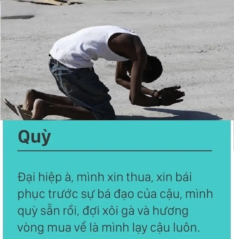 Ảnh quỳ lạy meme là biểu tượng của sự thành kính và tôn trọng trong mọi tình huống!