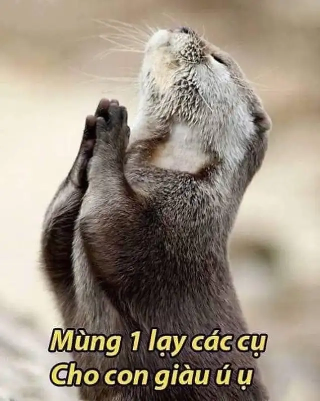 Meme lạy chúa trên cao thể hiện sự kính trọng và tôn thờ trong từng khoảnh khắc!