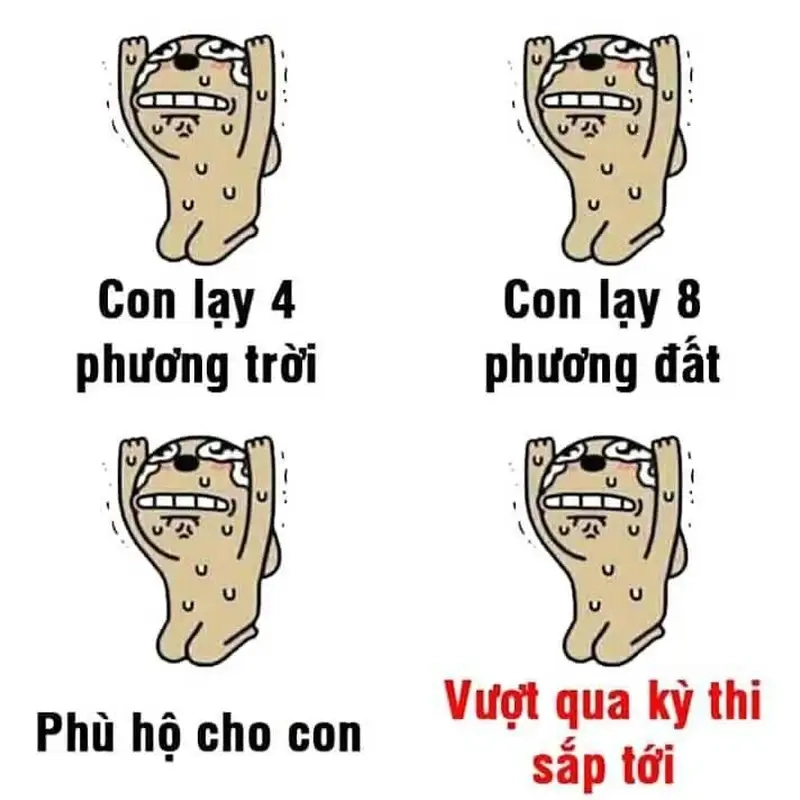 Meme quỳ mang lại sự thành kính và cảm xúc mạnh mẽ trong mọi tình huống đặc biệt!