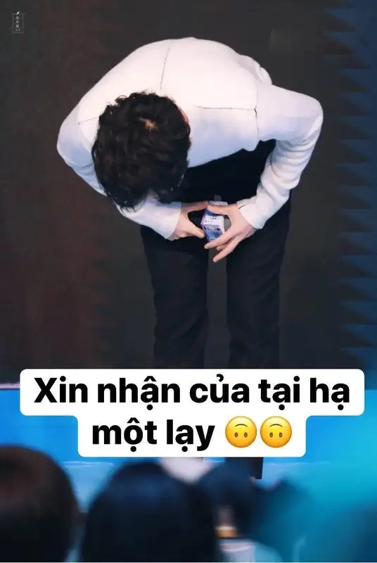 Meme quỳ xuống diễn tả sự thành kính và biết ơn sâu sắc trong từng hành động!