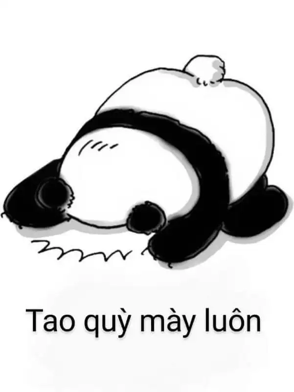 Meme chắp tay lạy thể hiện sự thành kính và tôn trọng trong những dịp quan trọng!