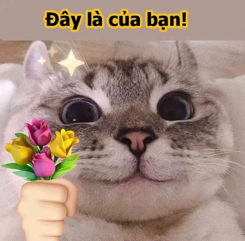 Tặng em bông hoa meme là món quà ngọt ngào với hình ảnh dễ thương.