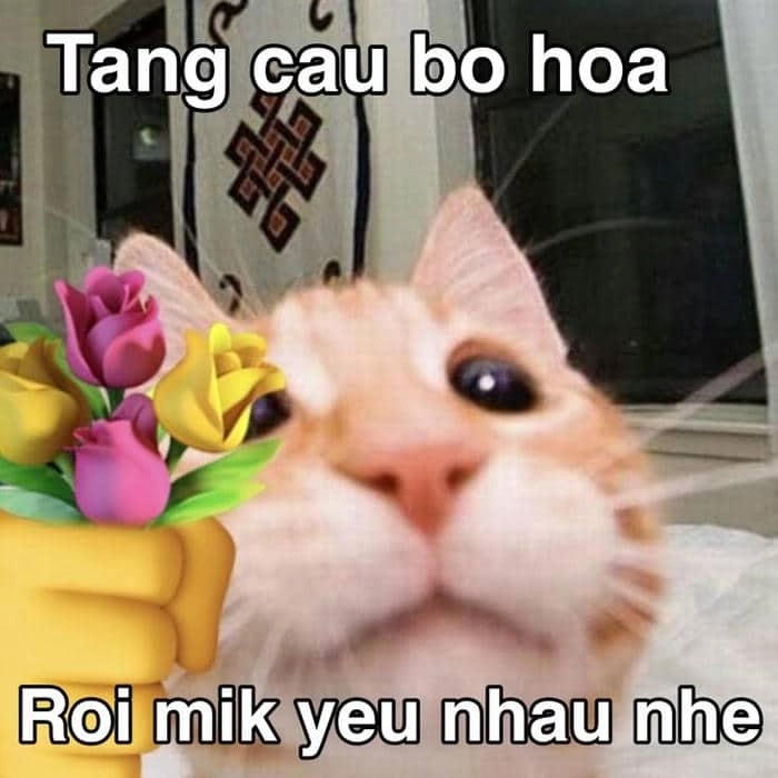 Kiss meme cute mang đến một cảnh tượng dễ thương và hài hước về những nụ hôn ngọt ngào.