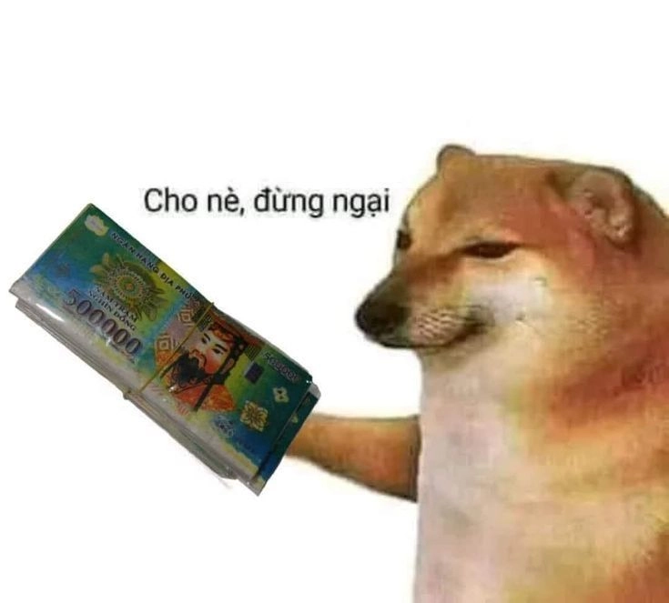 Một chút meme mèo cười ngại giúp mọi chuyện trở nên nhẹ nhàng.