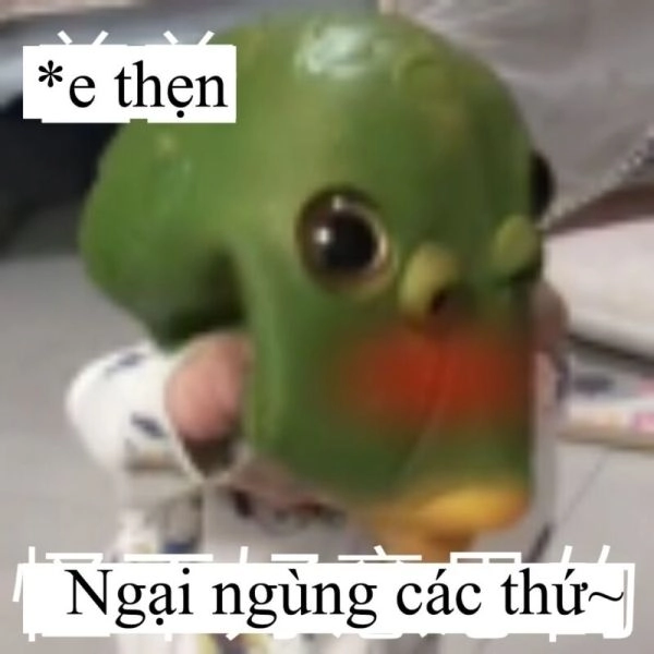 Meme mèo xấu hổ luôn là hình ảnh hài hước nhất khi bạn gặp tình huống khó xử.