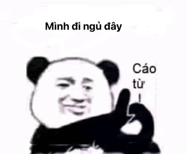 Meme ngủ ngon mèo khiến tâm trạng bạn thêm thoải mái.