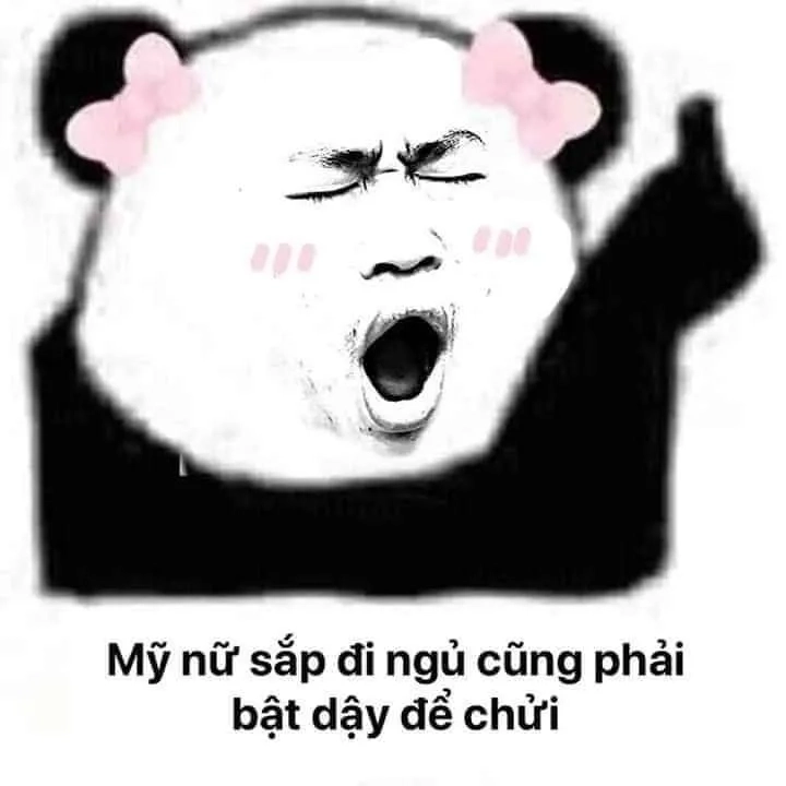 Ngủ ngon meme mèo là khoảnh khắc đáng yêu của mèo khi chúc bạn một giấc ngủ ngon.