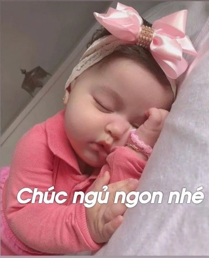 Good night meme mèo chúc ngủ ngon, giúp giấc ngủ thêm nhẹ nhàng.