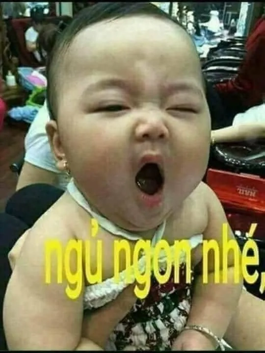 Ảnh meme mèo chúc ngủ ngon là hình ảnh ngọt ngào từ mèo trước khi bạn đi ngủ.