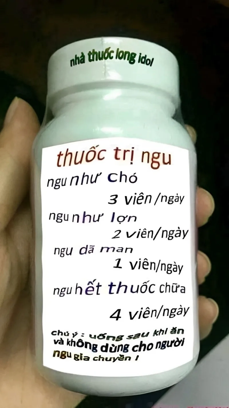 Ngu thì chết khóc lóc cl meme tạo điểm nhấn với phong cách chế cực sáng tạo.