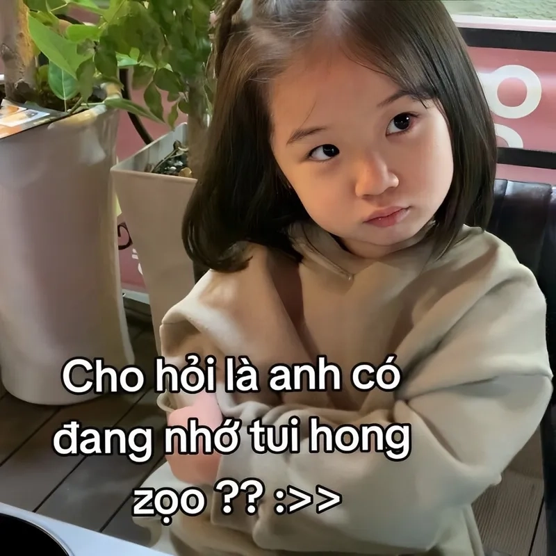 Meme tình yêu là cách hoàn hảo để thể hiện cảm xúc lãng mạn một cách hài hước.