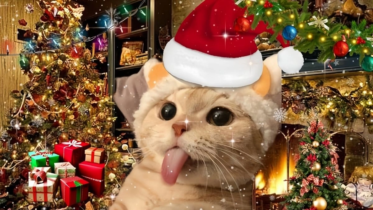 Meme mèo noel cute là cách tuyệt vời để gửi lời chúc mừng Giáng Sinh.