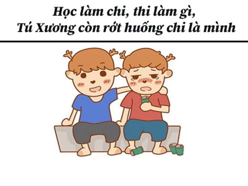 Meme mèo tôm mang lại tiếng cười nhờ sự kết hợp giữa mèo và tôm rất hài hước.