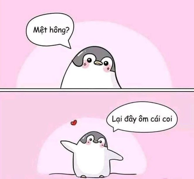 Meme con chó ôm đầu là hình ảnh đáng yêu khiến trái tim bạn phải rung động.