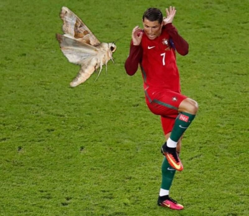 Ronaldo hun messi meme thú vị và rất độc đáo.