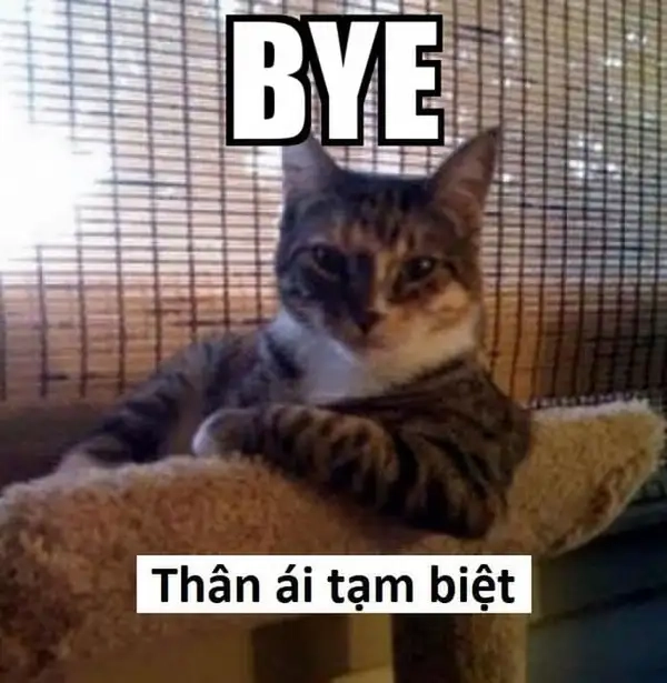 Bye bye meme dễ thương, hài hước đến bất ngờ.