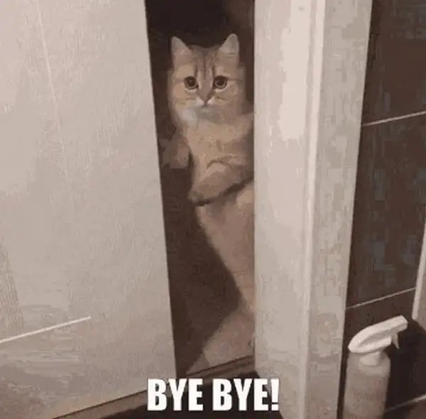 Good bye meme sáng tạo, để lại ấn tượng sâu sắc.