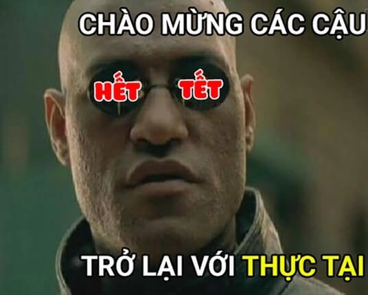 Hình ảnh tết meme là những bức ảnh đáng yêu giúp không khí Tết thêm vui.