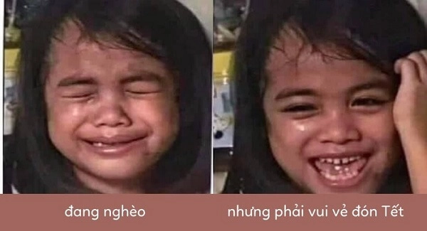 Avatar tết meme con mèo là hình ảnh chú mèo dễ thương đón Tết.