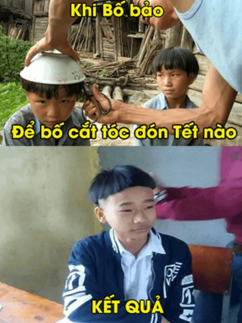 Avatar tết mèo meme là những hình ảnh mèo ngộ nghĩnh, vui nhộn đón xuân.