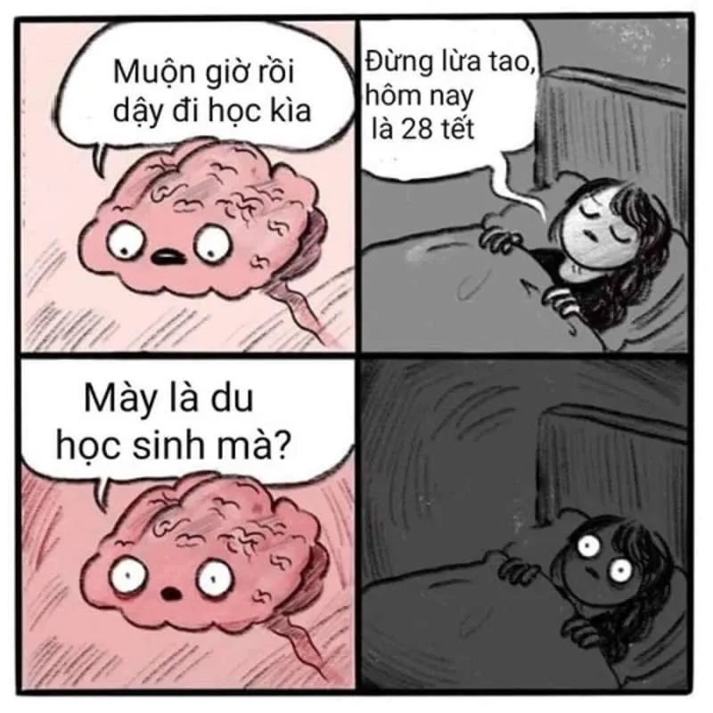 Mèo đón tết meme là hình ảnh chú mèo đón Tết với niềm vui không thể thiếu.