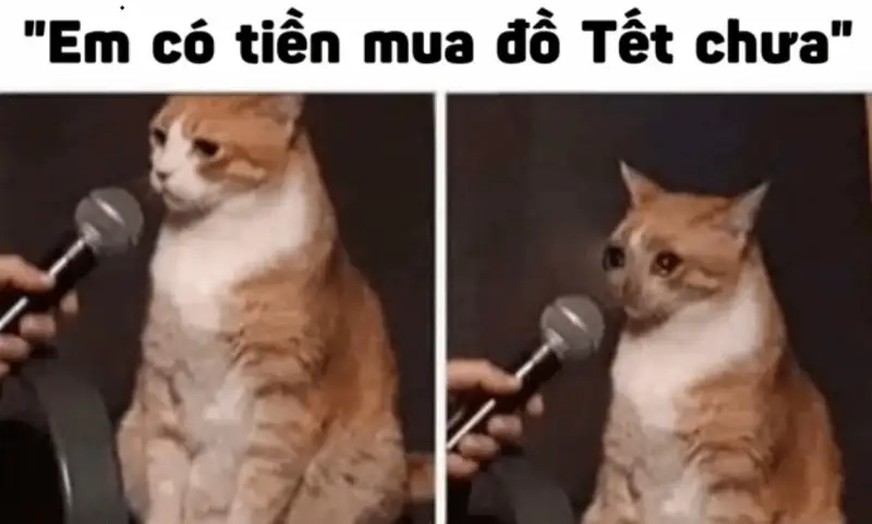 Avatar đón tết meme mang lại hình ảnh vui nhộn đón năm mới.