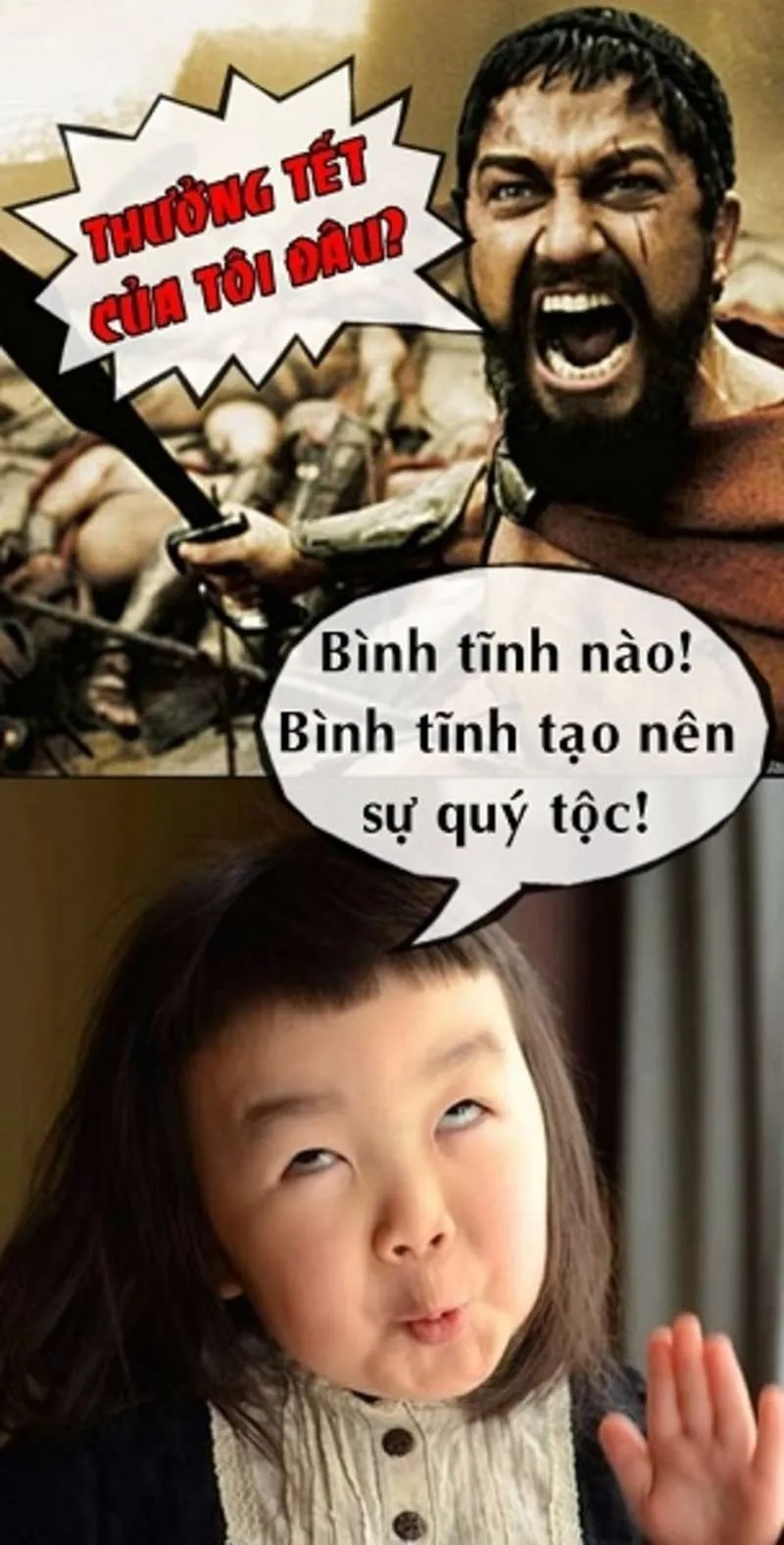 Hình mèo meme tết là hình ảnh mèo trong không khí Tết đầy vui tươi.