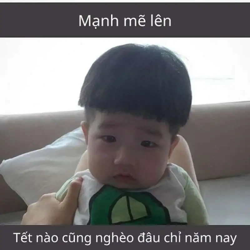 Avt mèo tết meme là hình ảnh mèo ngộ nghĩnh làm avatar mừng Tết.