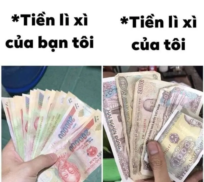 Meme mèo tết 2024 là hình ảnh dễ thương của mèo trong mùa Tết này.