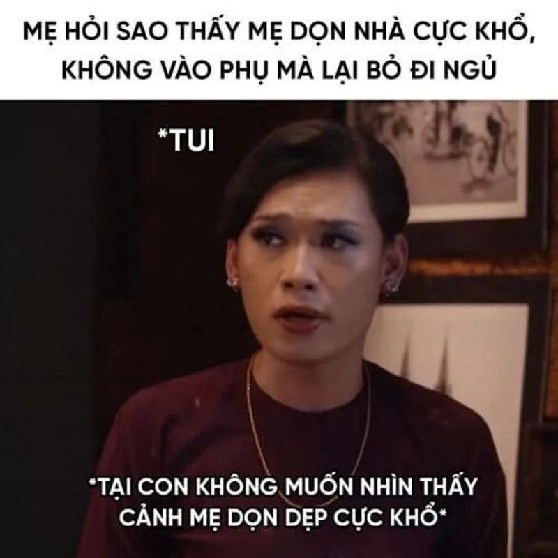 Hình mèo tết meme thể hiện không khí Tết vui nhộn với chú mèo đáng yêu.