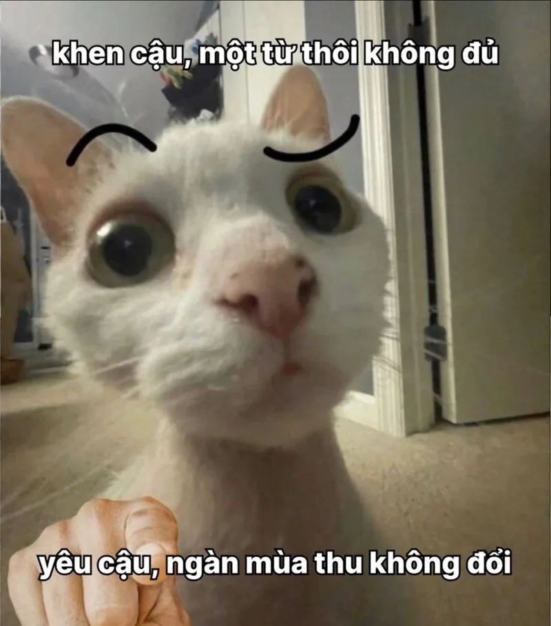 Meme sạc pin tình yêu khiến bạn cảm nhận tình yêu ngọt ngào và tràn đầy năng lượng.