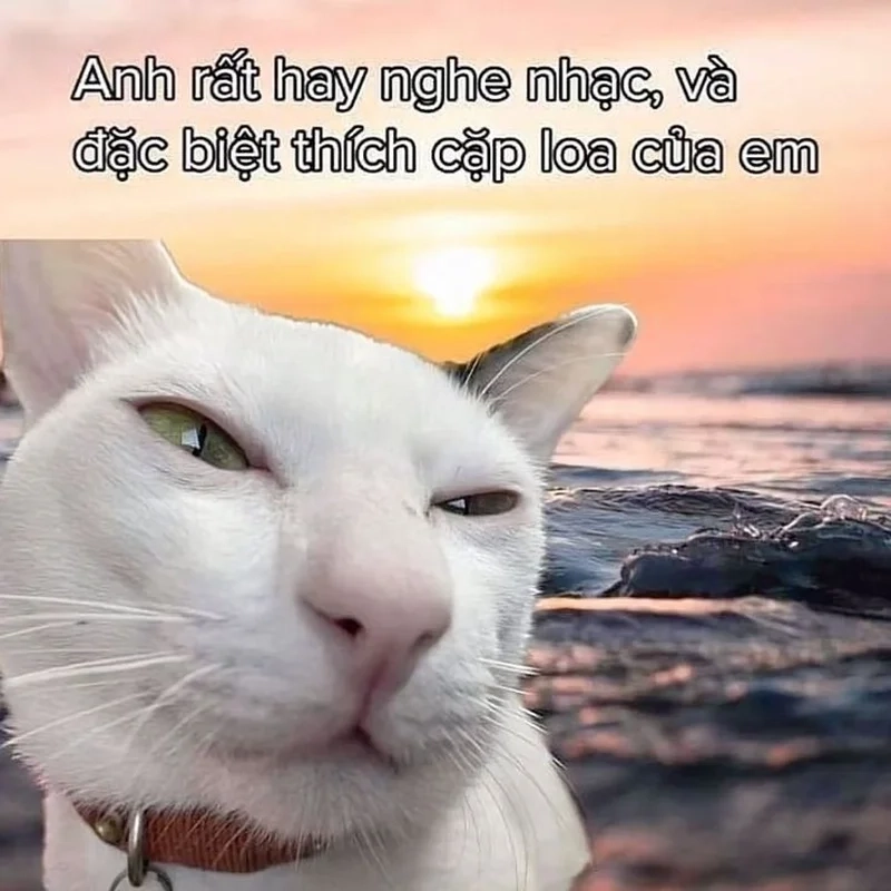 Meme anh yêu em tạo nên những khoảnh khắc tình cảm ngọt ngào.