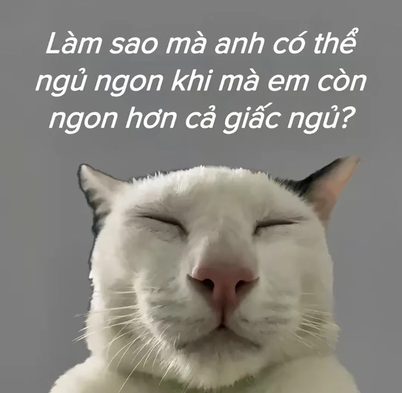 Meme yêu cậu mang đến những tình huống dễ thương trong tình yêu.